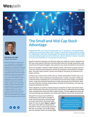 Small and Mid-Cap Stock white paper cover image