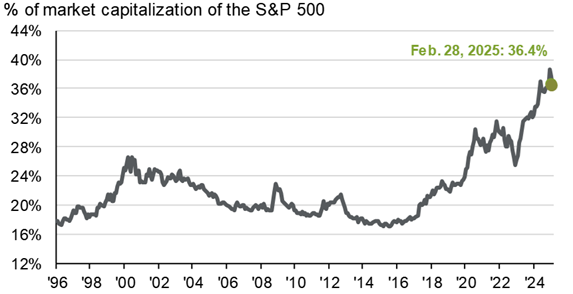 Weight-of-the-Top-10-Stocks