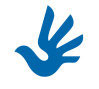 Human Rights Dove