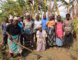people impacted by microfinance loans